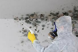 Pennington Gap, VA Mold Removal Company